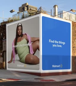 Style Perception Campaign for Walmart - thumbnail 2