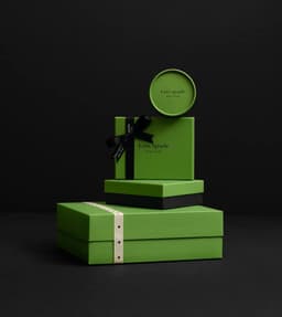 Packaging Design and Campaign for Kate Spade - thumbnail 3