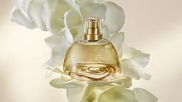 Brand Identity For Natura Aura Alba - thumbnail 3