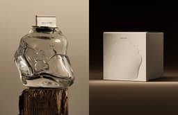 Brand Identity and Packaging for Willow Honey - thumbnail 2
