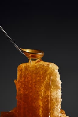 Brand Identity and Packaging for Willow Honey - thumbnail 3