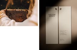 Brand Identity and Packaging for Willow Honey - thumbnail 5