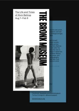 Brand Identity for the Bronx Museum - thumbnail 4