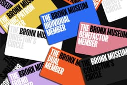 Brand Identity for the Bronx Museum - thumbnail 6