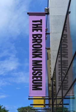 Brand Identity for the Bronx Museum - thumbnail 9