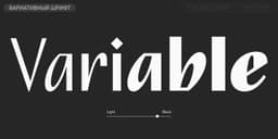 A script typeface update for multilingual editorial and packaging use - thumbnail 7