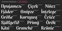 A script typeface update for multilingual editorial and packaging use - thumbnail 9