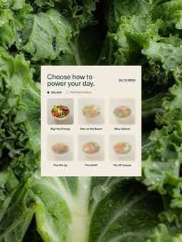 Website Redesign for the Salad Project - thumbnail 5