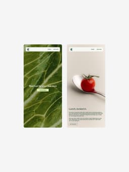 Website Redesign for the Salad Project - thumbnail 9