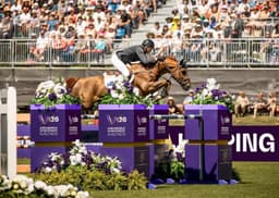 Brand identity for the FEI World Championships 2026 - thumbnail 7