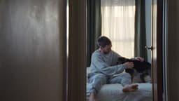 Integrated Campaign For Dogs Trust - thumbnail 6
