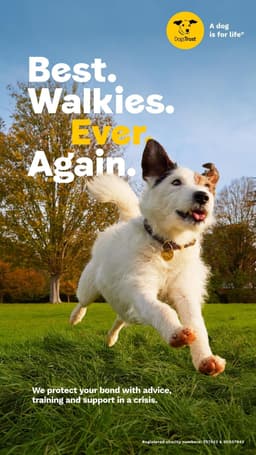 Integrated Campaign For Dogs Trust - thumbnail 7