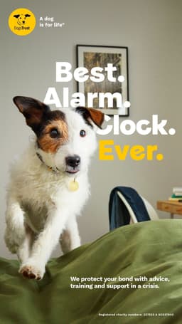 Integrated Campaign For Dogs Trust - thumbnail 8