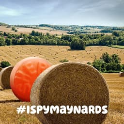 Summer Road Trip Campaign For Maynards Bassetts - thumbnail 4