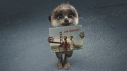 Advertising Campaign For Compare The Market Meerkat Reunion - thumbnail 4