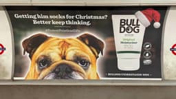Christmas Media Campaign For Bulldog Skincare - thumbnail 2