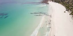 Tourism Recovery Campaign For South Australian Tourism Commission - thumbnail 3