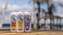 Integrated Launch Campaign For White Claw Surf - thumbnail 2