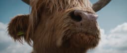Integrated Campaign For Virgin Media O2’s Wifi Guarantee - thumbnail 6