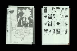 Brand Identity For Gabonsa Festival - thumbnail 8