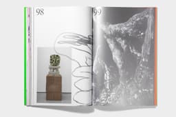 Visual Identity For Sculptor Tom Volkaert - thumbnail 8