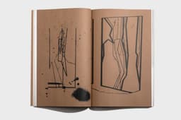 Editorial Design For Indrikis Gelzis Monograph - thumbnail 6