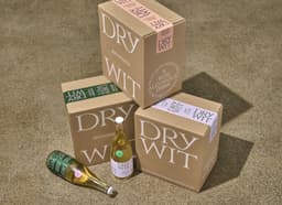 Brand Identity For Dry Wit Beer - thumbnail 8