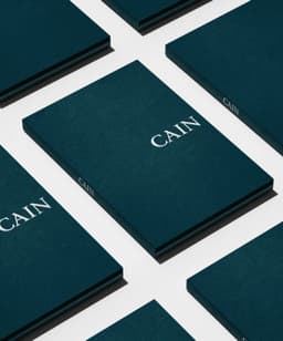 Brand Identity And Digital Design For Cain Investment Management - thumbnail 6