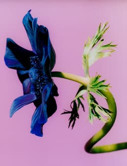 Short film for Nike’s Dream with Us campaign - thumbnail 9