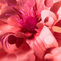 Biophilia-inspired Design System For Print Awards 2025 cover image