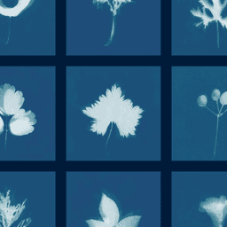 Visual Identity For Community Gardening Collective Grow To Know cover image