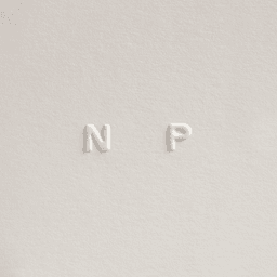 Branding And Website Design For Niccolò Pasqualetti cover image