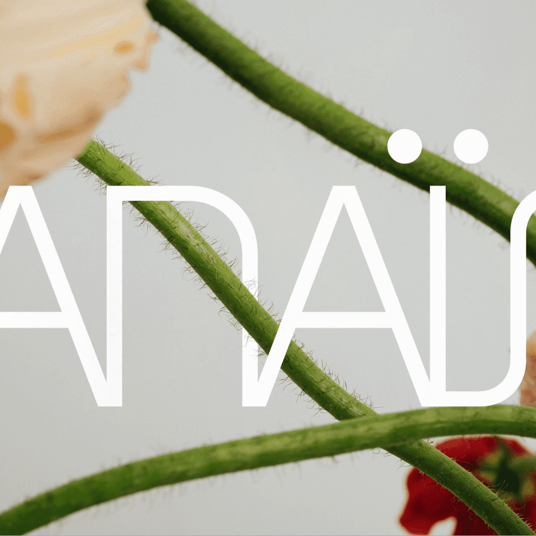 Brand Identity For Anaïs Maison Florale
