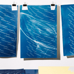 Cyanotype Calendar Design For 2025 Edition cover image