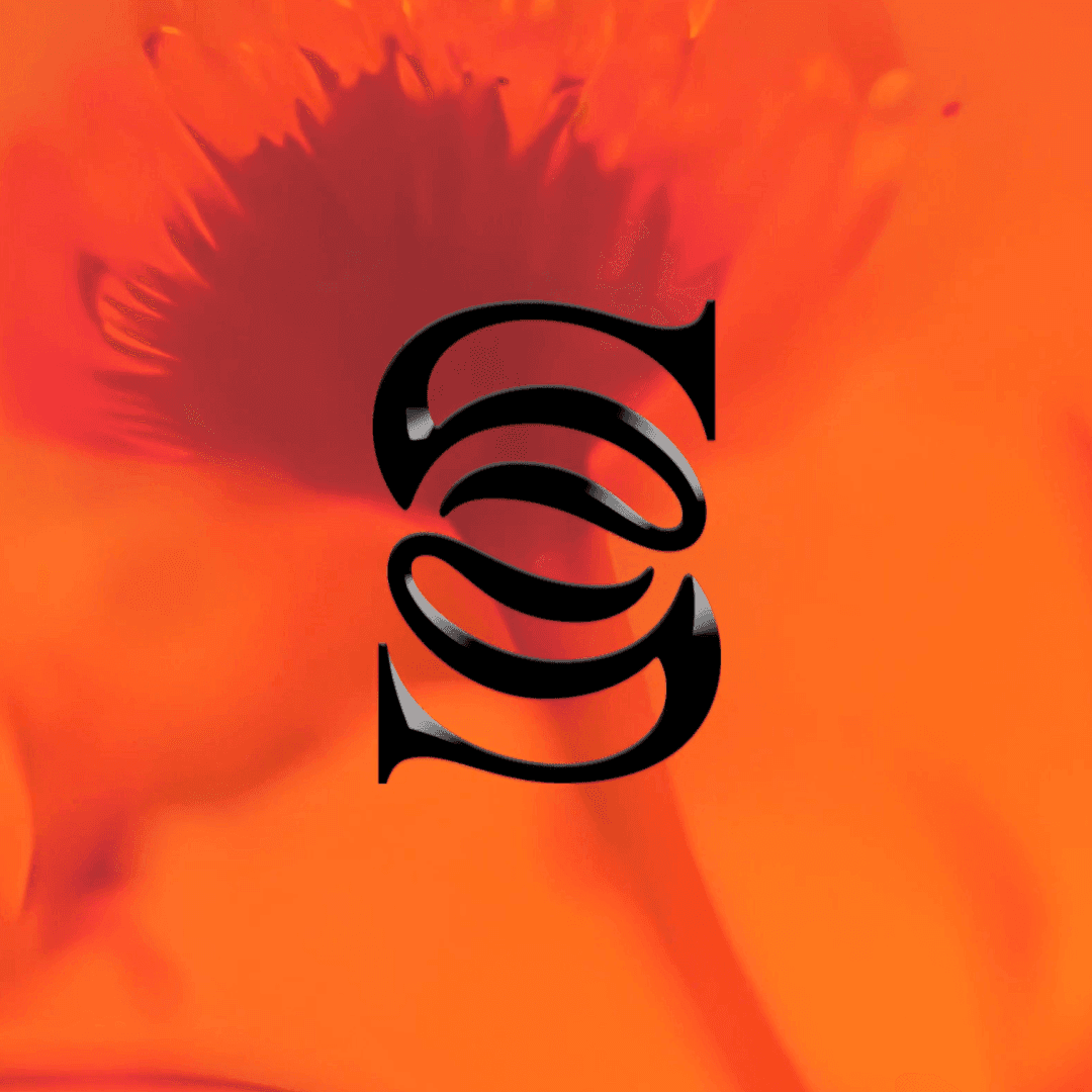 Brand Identity For Surrenne Luxury Wellness Club