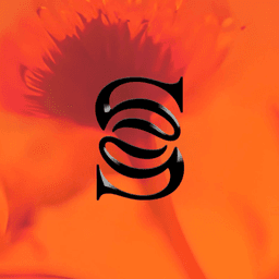 Brand Identity For Surrenne Luxury Wellness Club cover image