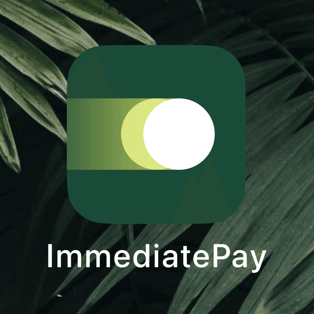 Brand Identity For Immediate Fintech Platform