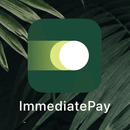 Brand Identity For Immediate Fintech Platform cover image