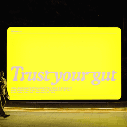 Brand Identity For A Global Gut Health Brand cover image