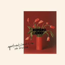 Brand Identity And Website Design For Numéro Cent Apartment cover image