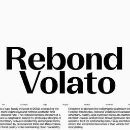 Typeface Design For Rebond Volato cover image