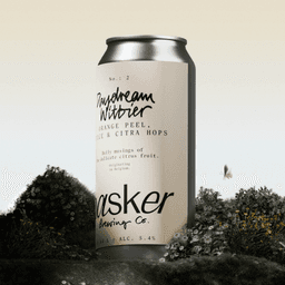 Brand Identity For Basker Brewing Co cover image