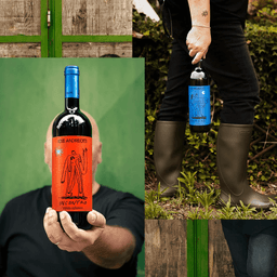 Packaging Design For Iole Andreotti Wines cover image