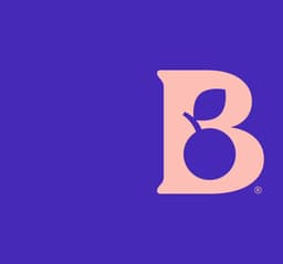 Brand Identity For Blueberry Academy cover image