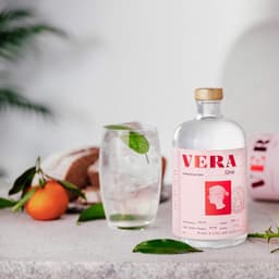 Brand Identity For Vera Spirits cover image