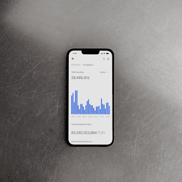 Blockchain Explorer Development For The Ton Network cover image