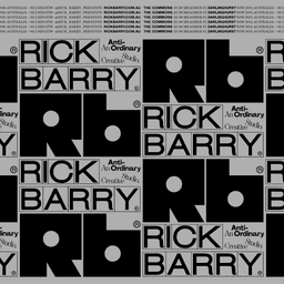 Brand Identity And Digital Design For Rick Barry cover image