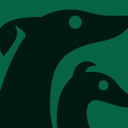 Brand Identity For Deel Sighthound Rescue cover image