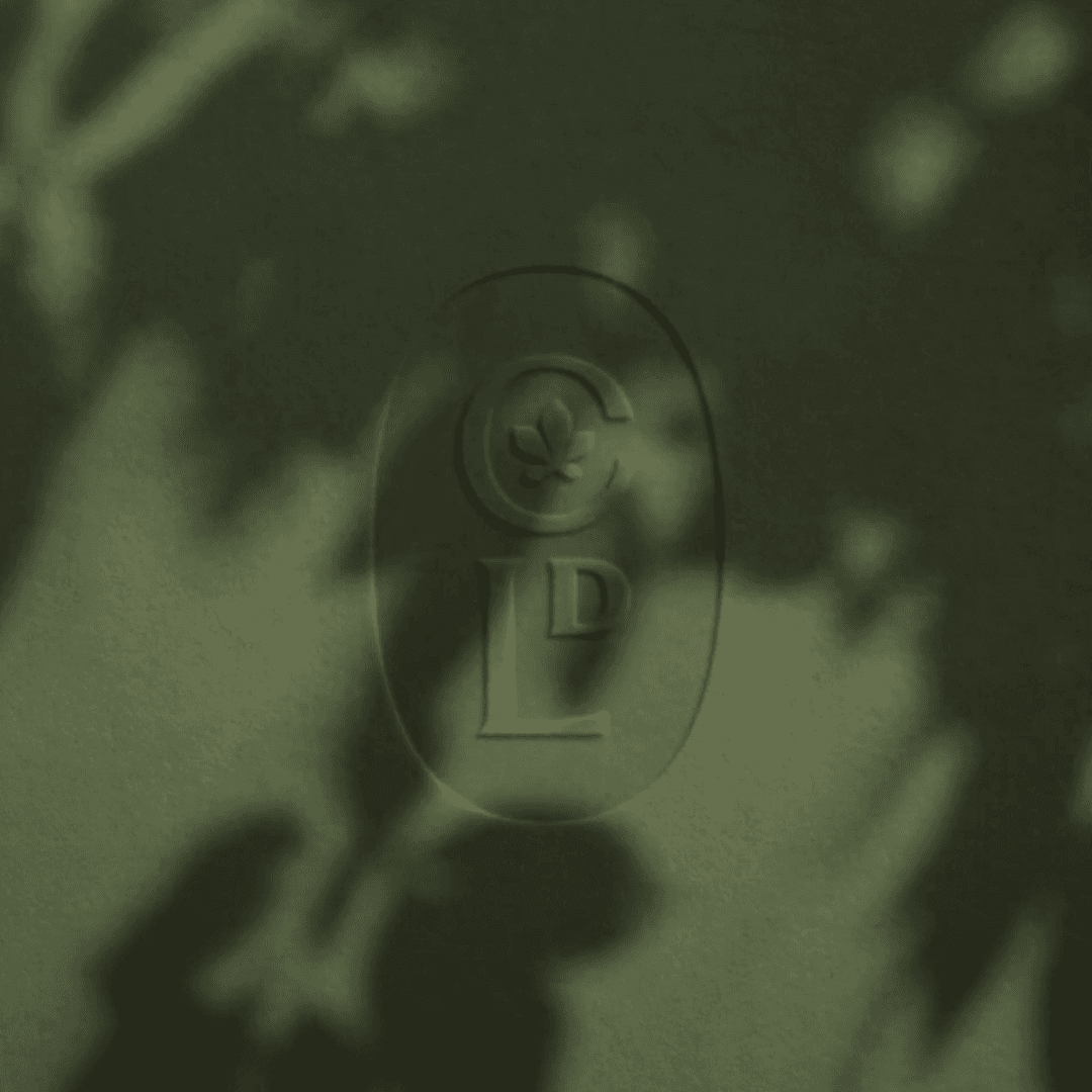 Brand Identity For Château De Luins