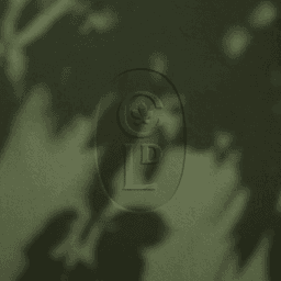 Brand Identity For Château De Luins cover image